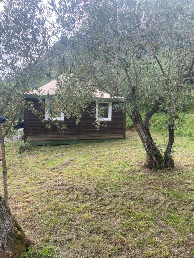 Sotto Il Cielo Di Toscana Appartamenti In Tenuta Only Adults No Pet Камайоре Екстериор снимка